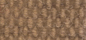 carpet from Carpet Bargains