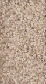 Carpet from Carpet Bargains