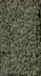 Carpet from Carpet Bargains