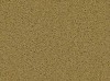 Carpet from Carpet Bargains