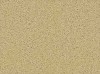 Carpet from Carpet Bargains