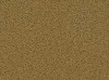 Carpet from Carpet Bargains