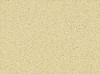 Carpet from Carpet Bargains