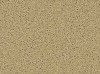 Carpet from Carpet Bargains
