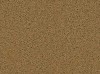 Carpet from Carpet Bargains