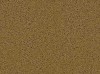 Carpet from Carpet Bargains