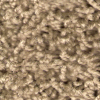 Carpet from Carpet Bargains