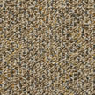 Bigelow Carpet from Carpet Bargains