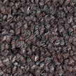 Bigelow Carpet from Carpet Bargains