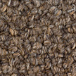 Bigelow Carpet from Carpet Bargains