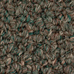 Bigelow Carpet from Carpet Bargains