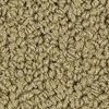 carpet from Carpet Bargains