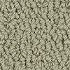 carpet from Carpet Bargains