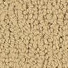 carpet from Carpet Bargains