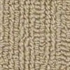 carpet from Carpet Bargains