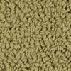 carpet from Carpet Bargains