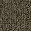 carpet from Carpet Bargains