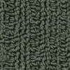 carpet from Carpet Bargains