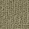 carpet from Carpet Bargains
