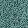 carpet from Carpet Bargains