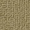 carpet from Carpet Bargains
