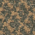 carpet from Carpet Bargains