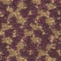 carpet from Carpet Bargains
