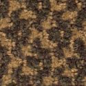 carpet from Carpet Bargains