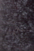 Carpet from Carpet Bargains