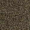 Carpet from Best Carpet Values