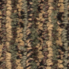 carpet from Carpet Bargains