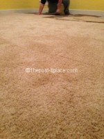 Peel n Stick Carpet from Carpet Bargains