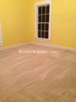 Peel n Stick Carpet from Carpet Bargains