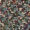Carpet Tiles from Carpet Bargains