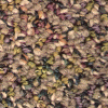 Carpet Tiles from Carpet Bargains