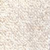 Berber Carpet Specials from Carpet Bargains