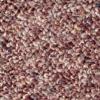 Berber Carpet Specials from Carpet Bargains