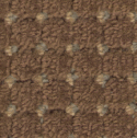 carpet from Carpet Bargains