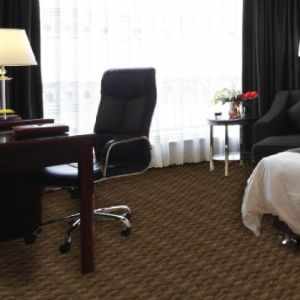 Style 2025 Guest Room Hospitality Carpet