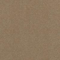 Emphatic II 30 54255 Color 56110 Timeless