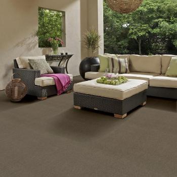 Indoor Outdoor Grass Carpet by Shaw Carpets