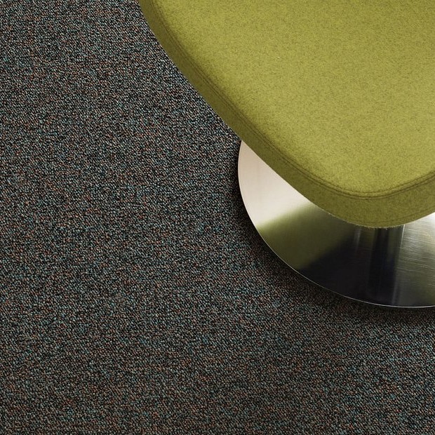 Shaw Commercial Carpet 