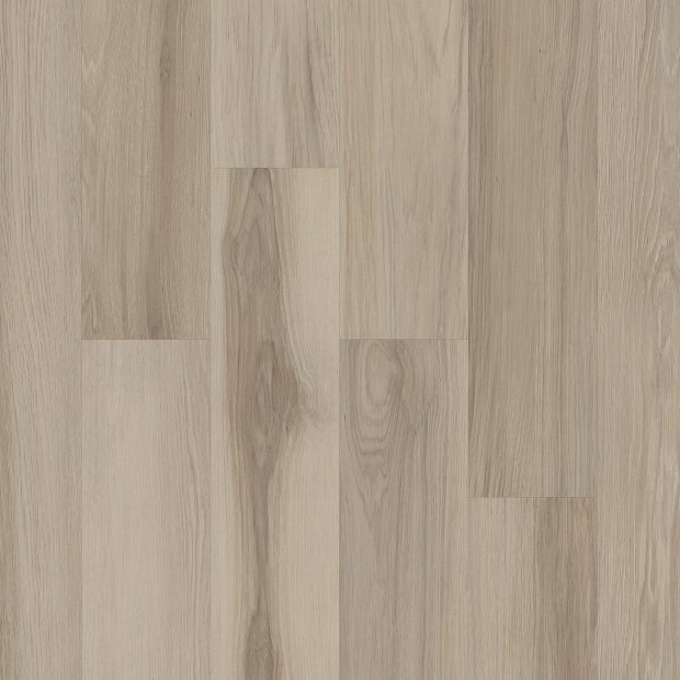 Silva Valley 12 5610V