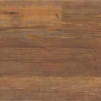 Carolina Pine
