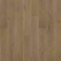 AA816 Noble Hall Oak 07014 Majesty