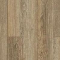 Brushed Beige 220