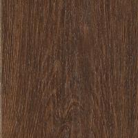 Shadow Woodlands 822