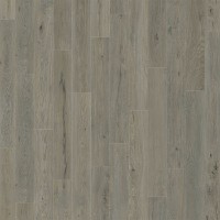 6202 Laguna