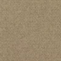 Canyon Ridge II 520 Suede