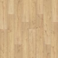 142 Canoe Oak